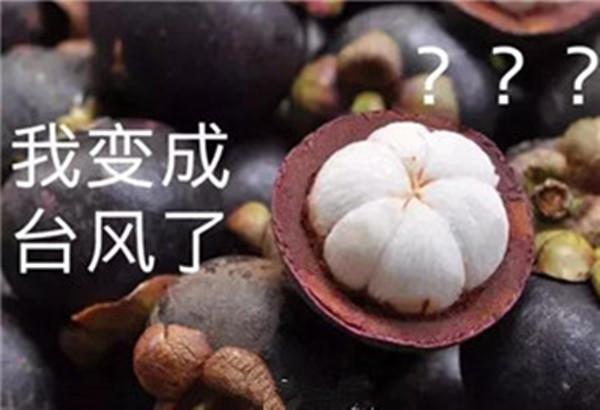 “山竹”還未走遠，但貝朗全自動彎線機已正常上班啦！