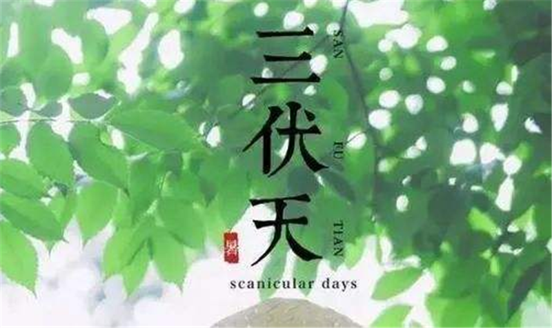 三伏天——轉載網(wǎng)絡圖片