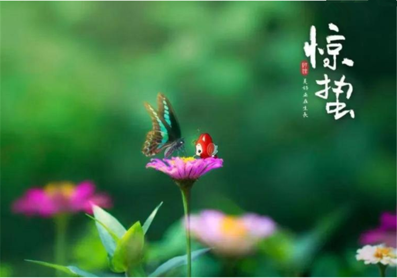 二十四節(jié)氣“驚蜇”都有哪些習俗？