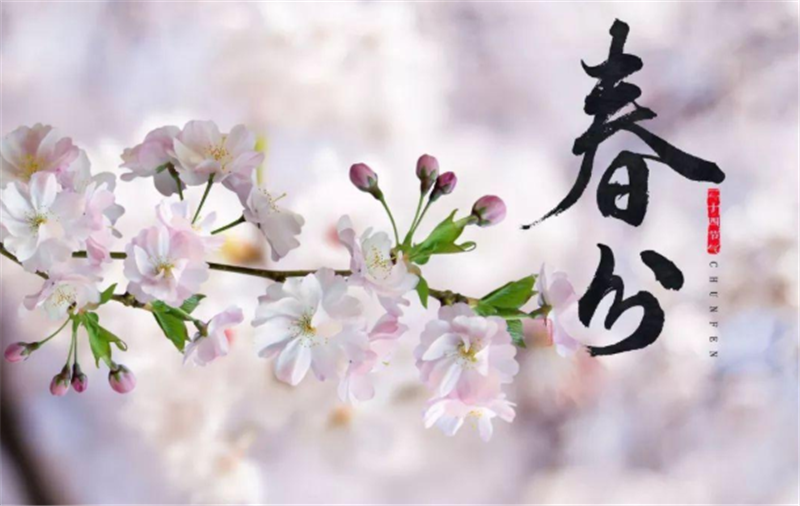 二十四節(jié)氣——春分有哪些習俗？